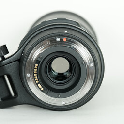 SIGMA 150-600mm F5-6.3 DG OS HSM | Contemporary [キヤノンEF用]