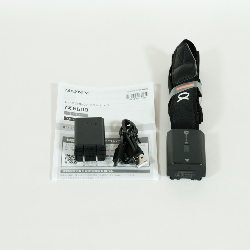 SONY α6600（ILCE-6600）