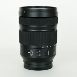 Panasonic LUMIX S 24-105mm F4 MACRO O.I.S.