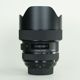 SIGMA 14-24mm F2.8 DG HSM｜Art [ニコンF用]