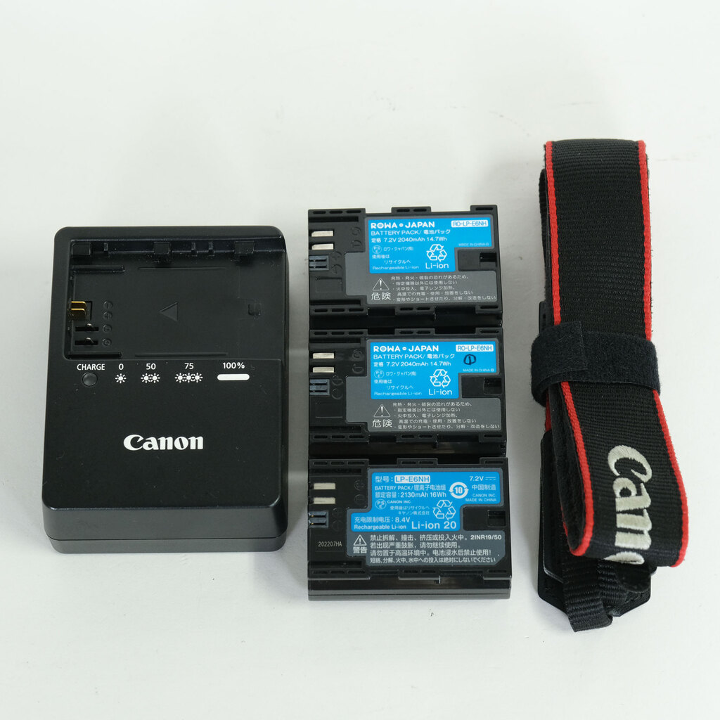Canon EOS R6