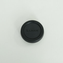 Panasonic LUMIX G VARIO 12-60mm / F3.5-5.6 ASPH. / POWER O.I.S.