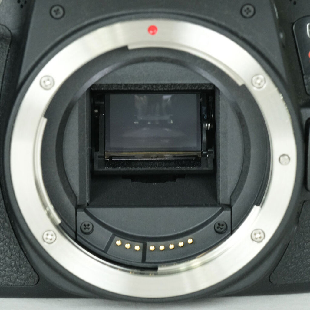 Canon EOS Kiss X8i