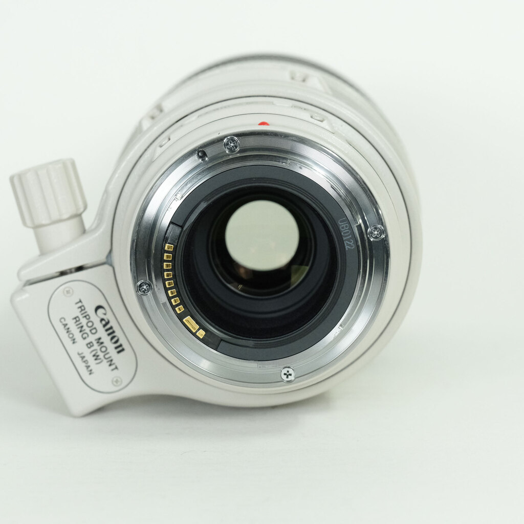 Canon EF100-400mm F4.5-5.6L IS USM