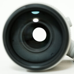 Canon EF100-400mm F4.5-5.6L IS II USM