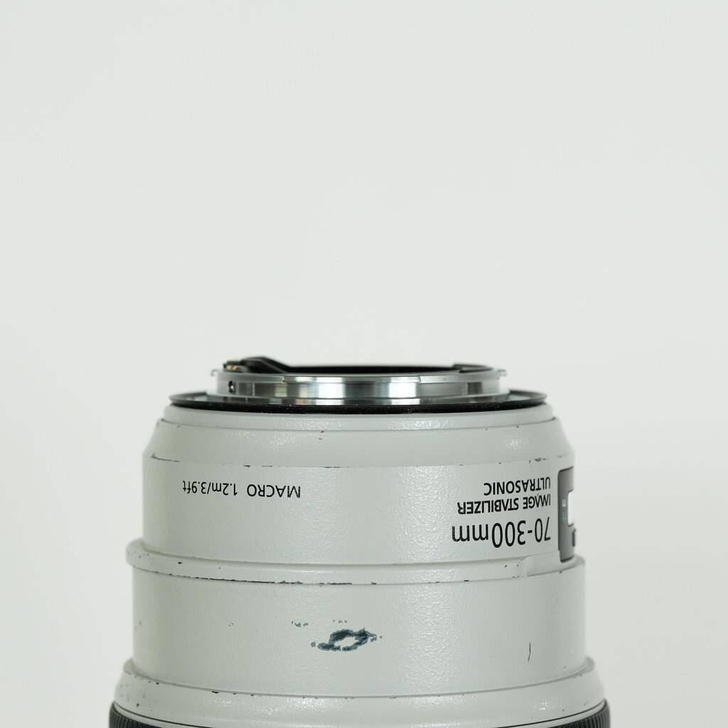 Canon EF70-300mm F4-5.6L IS USM