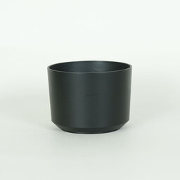 SONY E 55-210mm F4.5-6.3 OSS SEL55210