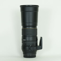 SIGMA APO 170-500mm F5-6.3 DG [ソニーA用]
