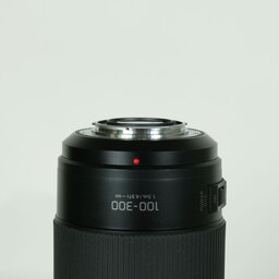Panasonic LUMIX G VARIO 100-300mm / F4.0-5.6 II / POWER O.I.S.