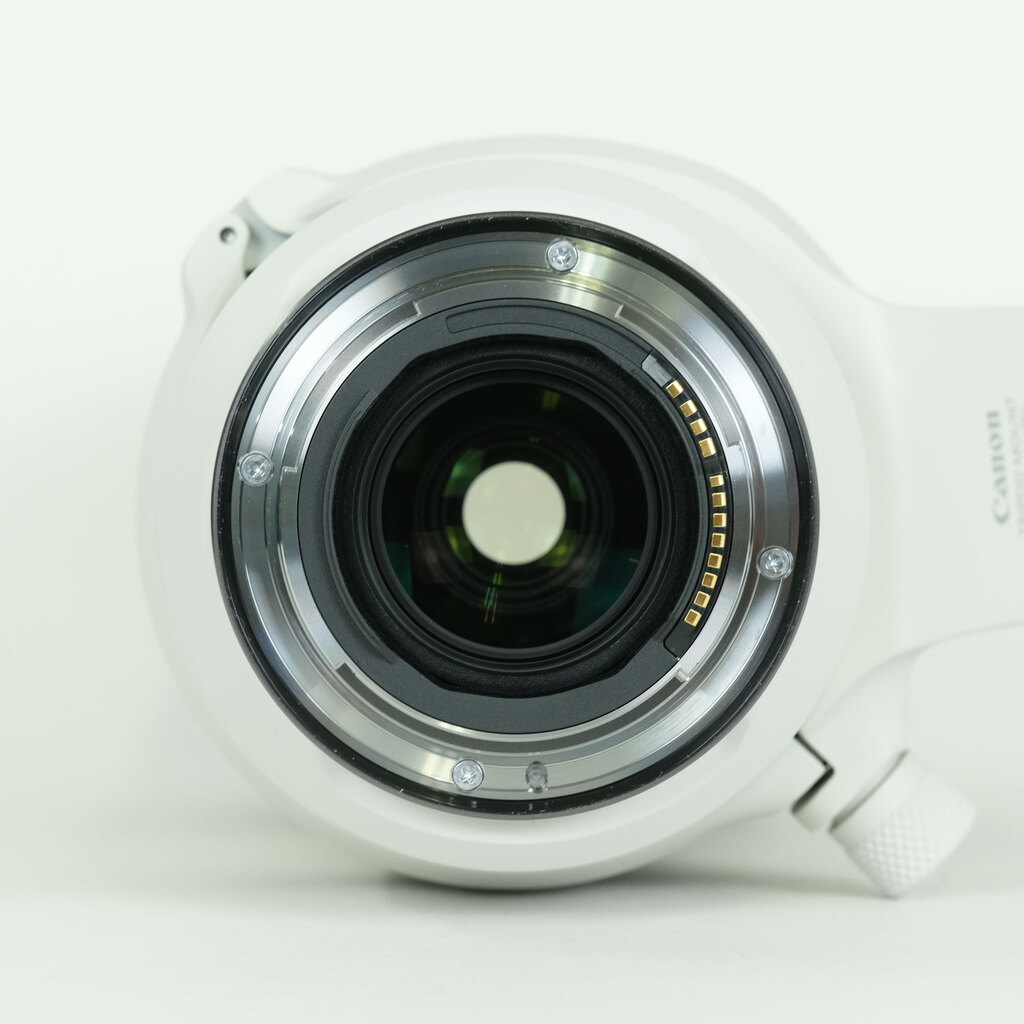 Canon RF100-500mm F4.5-7.1L IS USM Canon RF100-500mm F4.5-7.1L IS USM