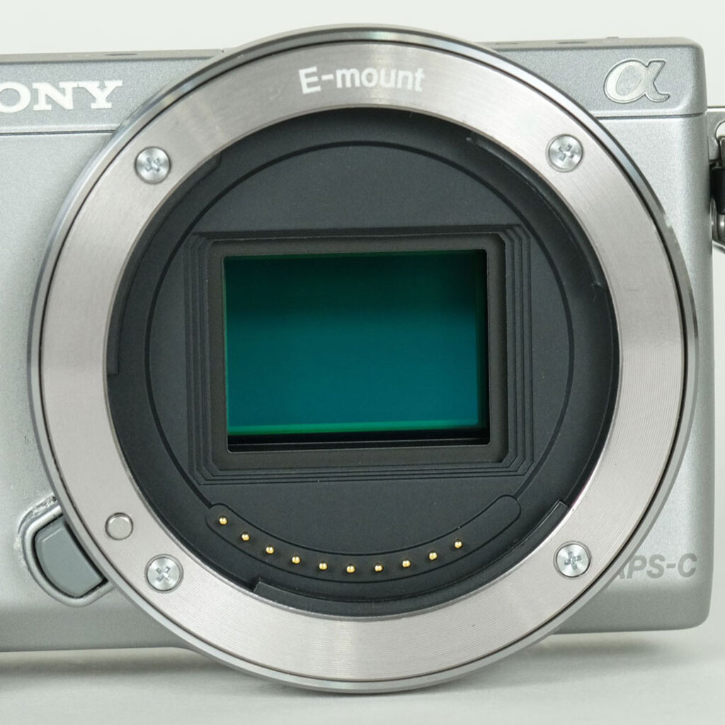 SONY α NEX-5R ボディ シルバーの出品 | ONE SCENE（ワンシーン）