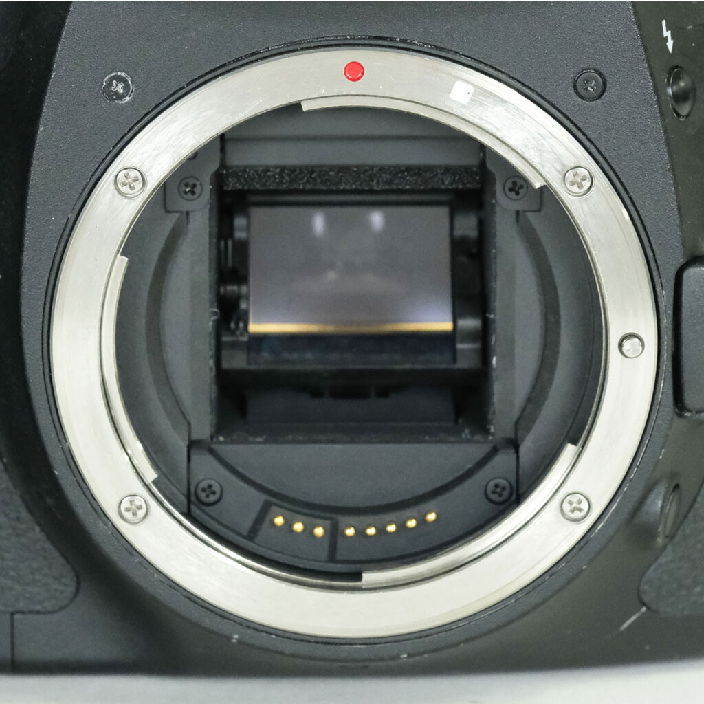 Canon EOS7D ボディ