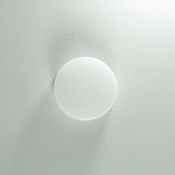 Nikon AF-P DX NIKKOR 10-20mm F4.5-5.6G VR