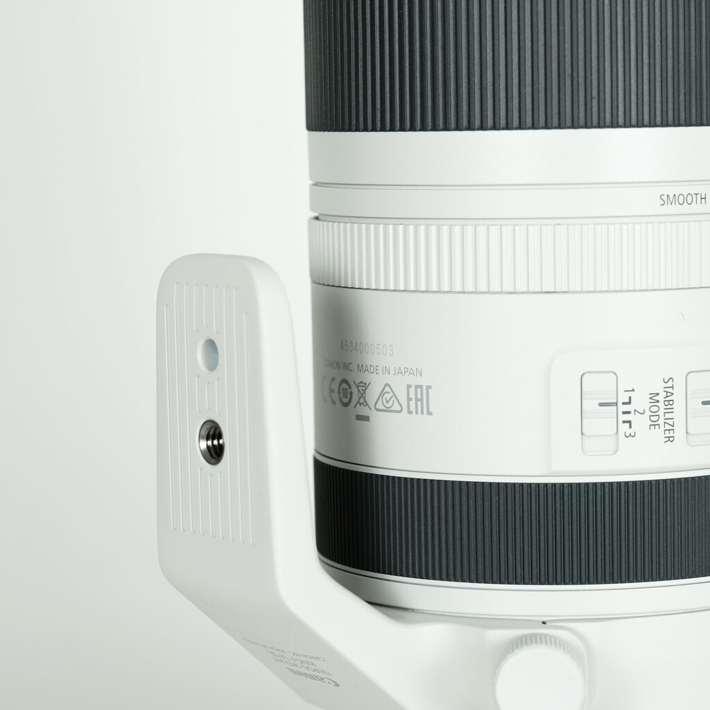 Canon RF100-500mm F4.5-7.1L IS USM