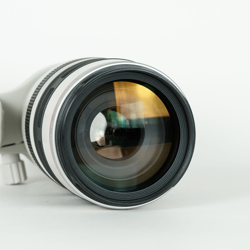 Canon EF100-400mm F4.5-5.6L IS USM