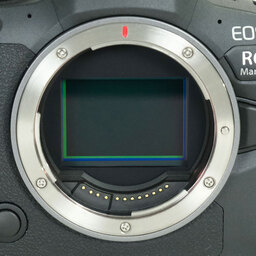 Canon EOS R6 Mark II