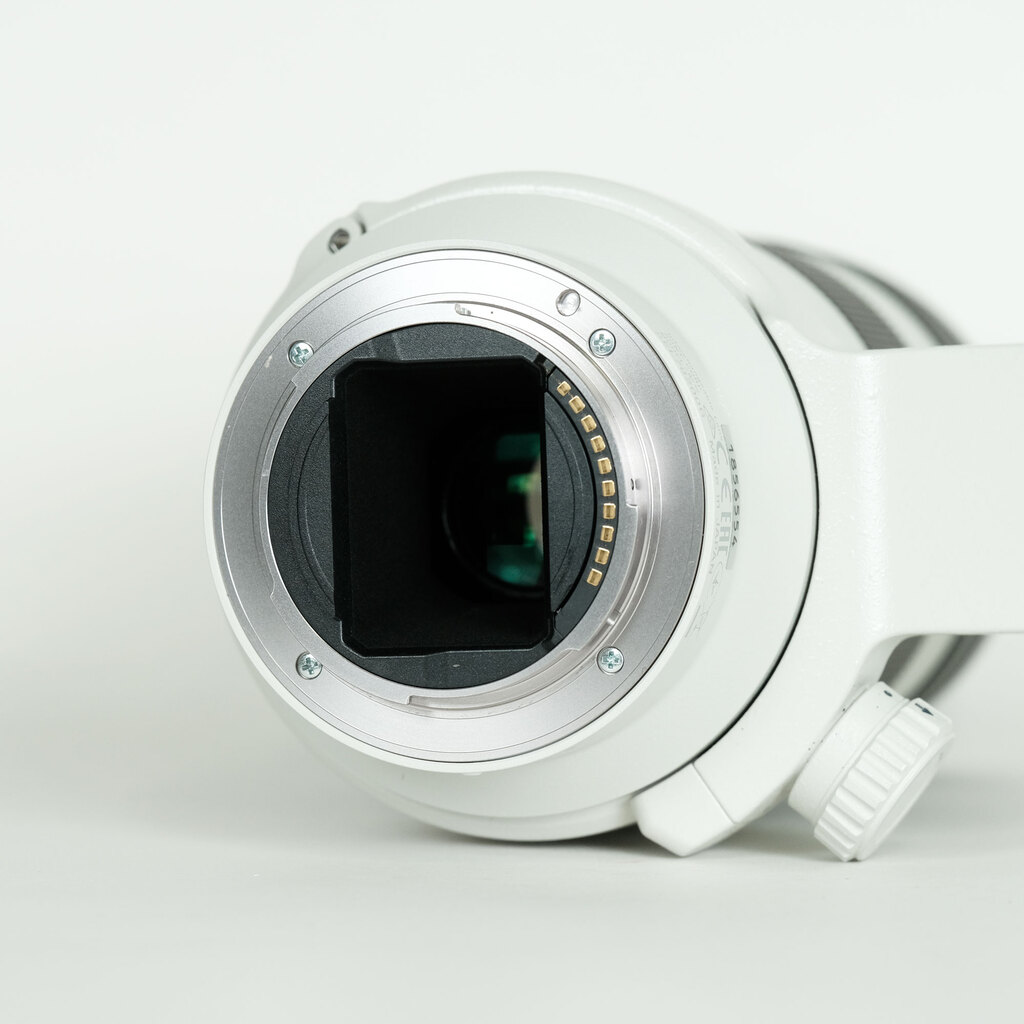 SONY FE 70-200mm F4 G OSS SEL70200G