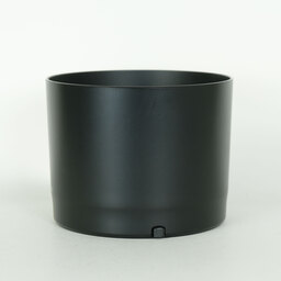 Canon RF800mm F11 IS STM