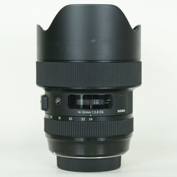 SIGMA Art 14-24mm F2.8 DG HSM  (シグマSA用)