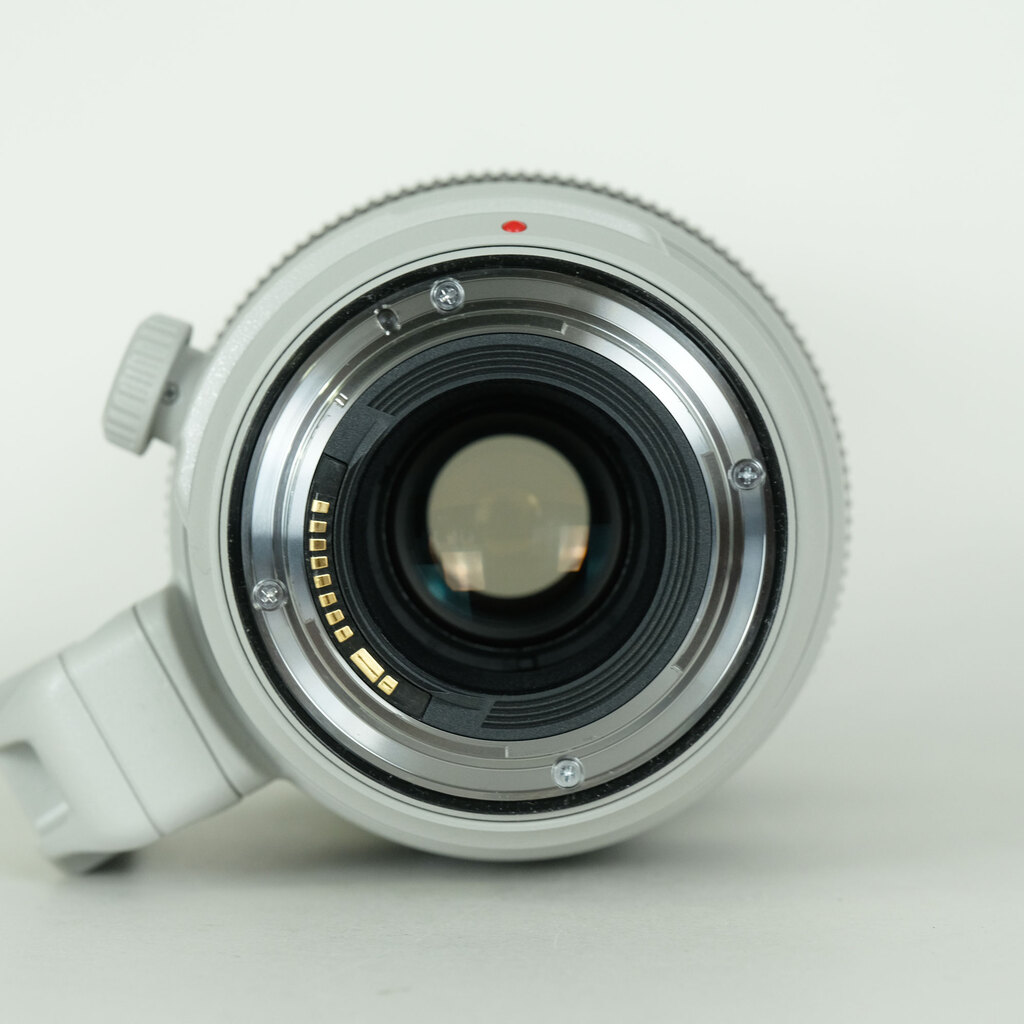 Canon EF100-400mm F4.5-5.6L IS II USM