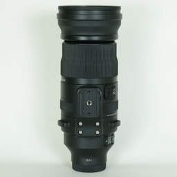 SIGMA 150-600mm F5-6.3 DG DN OS｜Sports [ソニーE用]