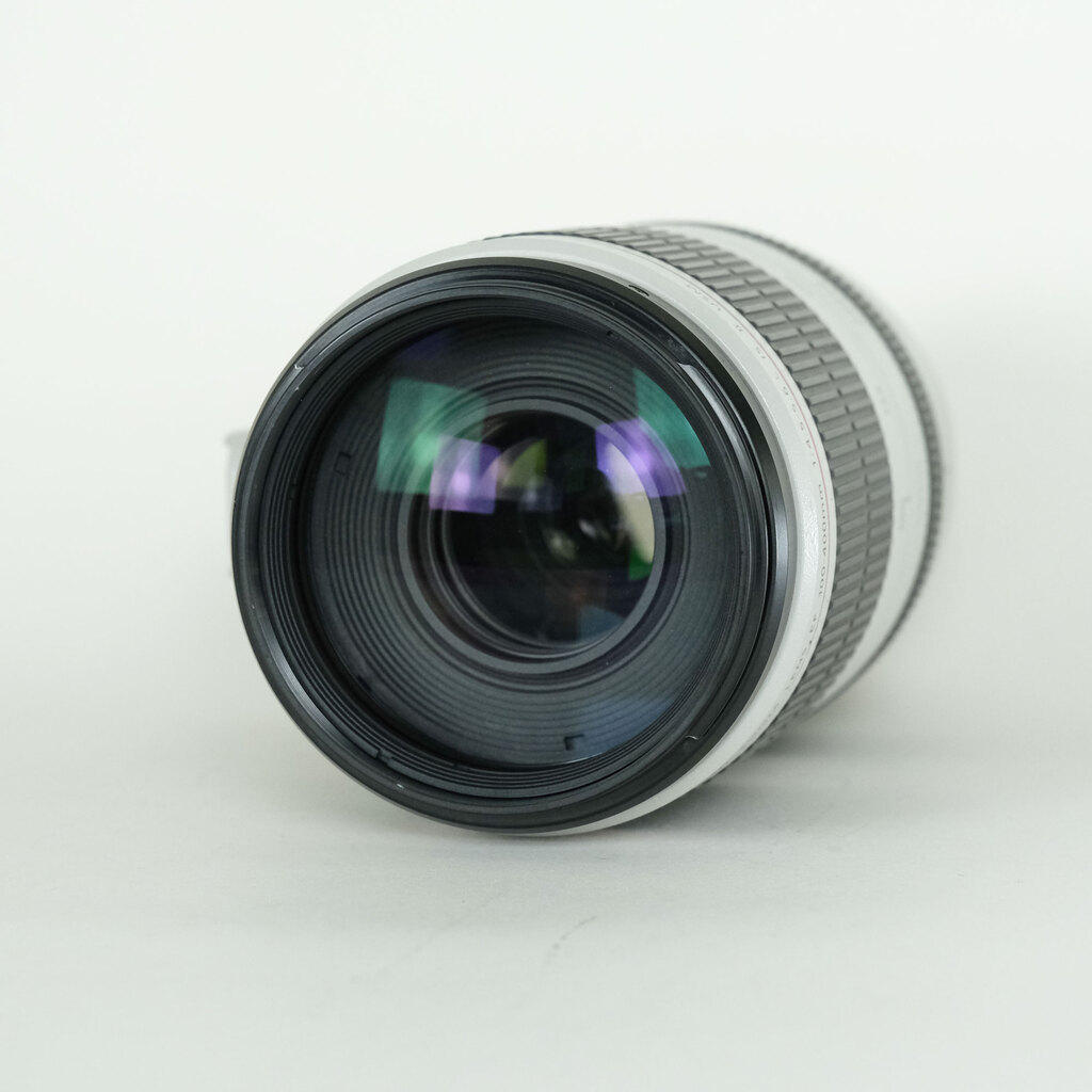 Canon EF100-400mm F4.5-5.6L IS II USM