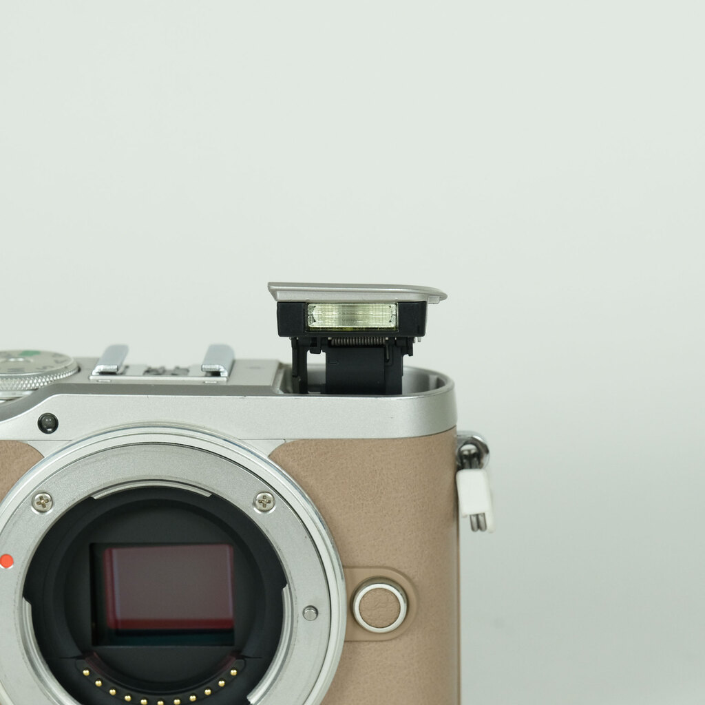 OLYMPUS PEN E-PL10