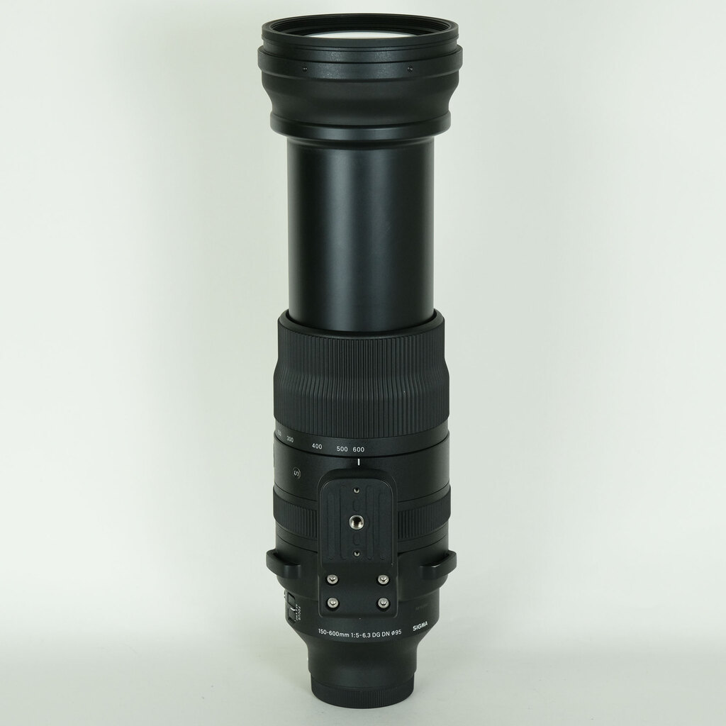 SIGMA 150-600mm F5-6.3 DG DN OS｜Sports [ソニーE用]