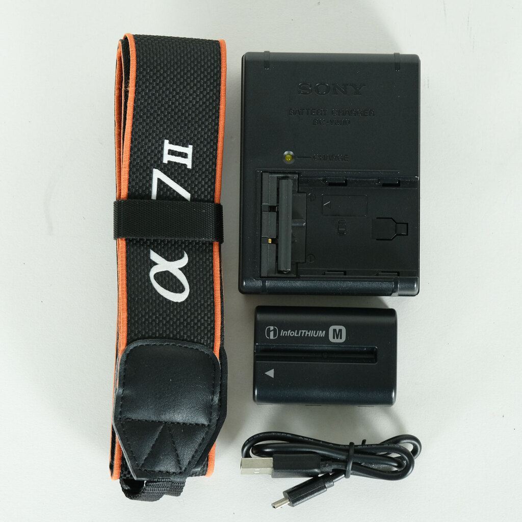 SONY α77IIボディ ILCA-77M2