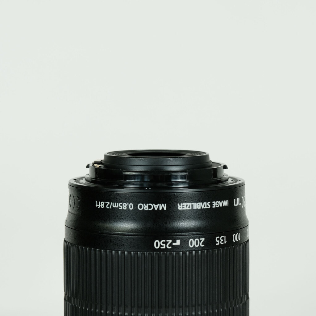 Canon EF-S55-250mm F4-5.6 IS STM