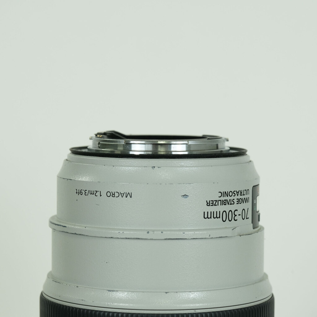 Canon EF70-300mm F4-5.6L IS USM