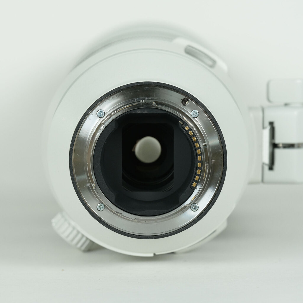 SONY FE 200-600mm F5.6-6.3 G OSS SEL200600Gの出品 | ONE SCENE