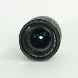 Panasonic LUMIX G VARIO 12-60mm / F3.5-5.6 ASPH. / POWER O.I.S.