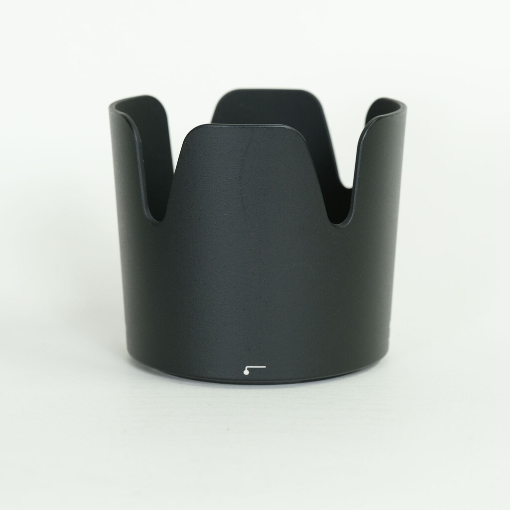 Nikon AF-P NIKKOR 70-300mm f/4.5-5.6E ED VR