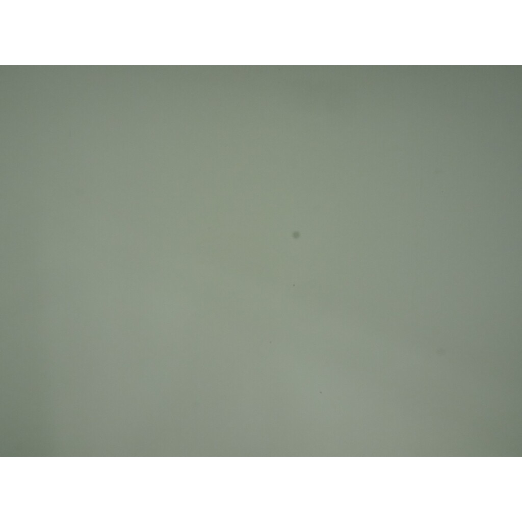 OLYMPUS OM-D E-M5 Mark III