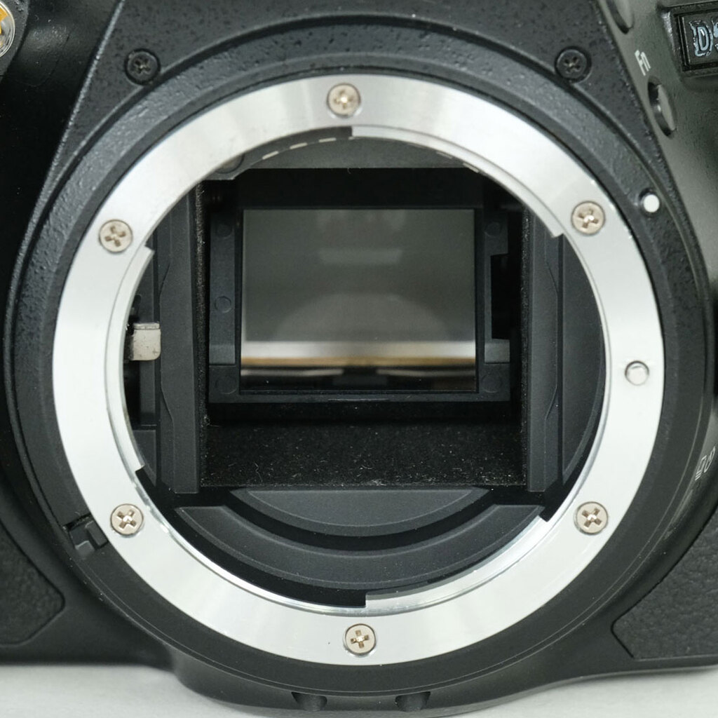 Nikon D5600