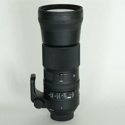 SIGMA 150-600mm F5-6.3 DG OS HSM｜Contemporary [ニコンF用]