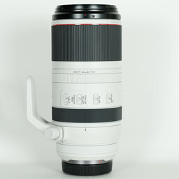 Canon RF100-500mm F4.5-7.1L IS USM