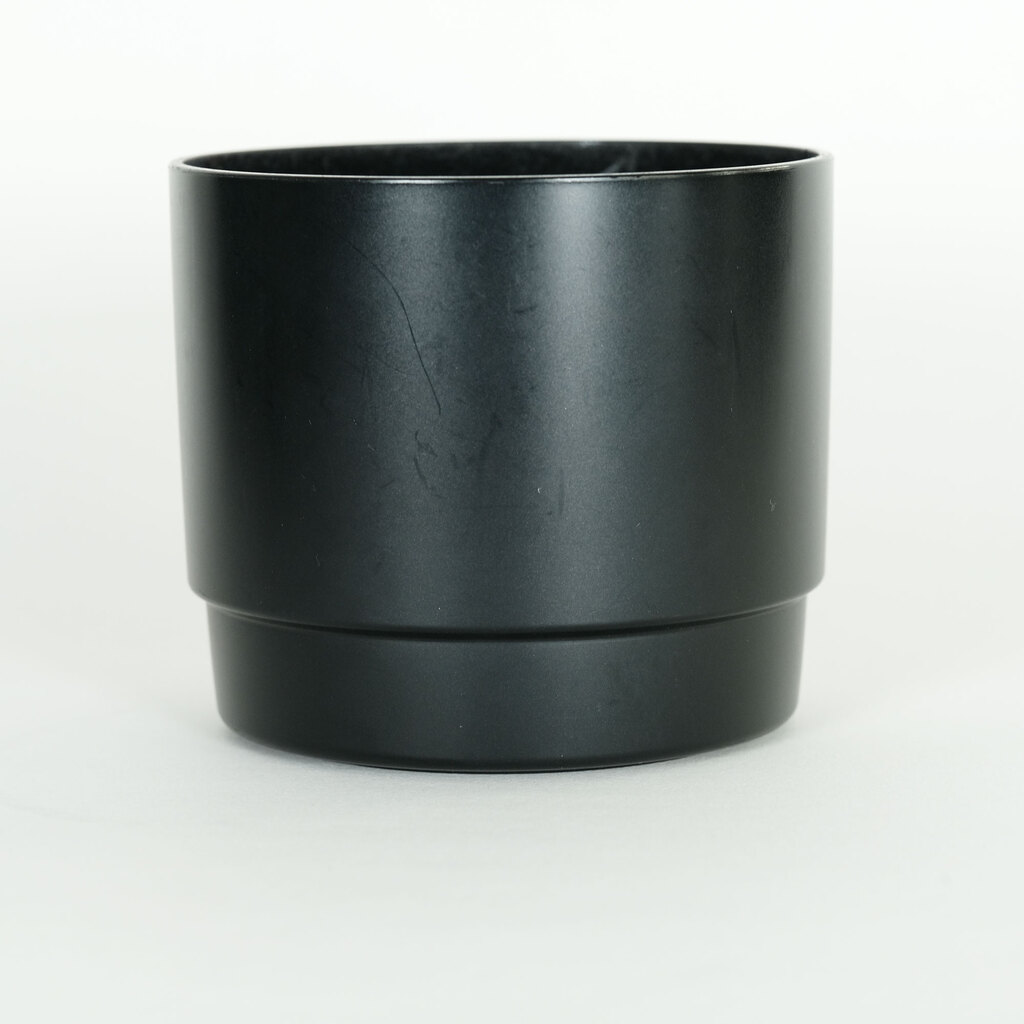 Canon EF100mm F2.8 マクロ USM