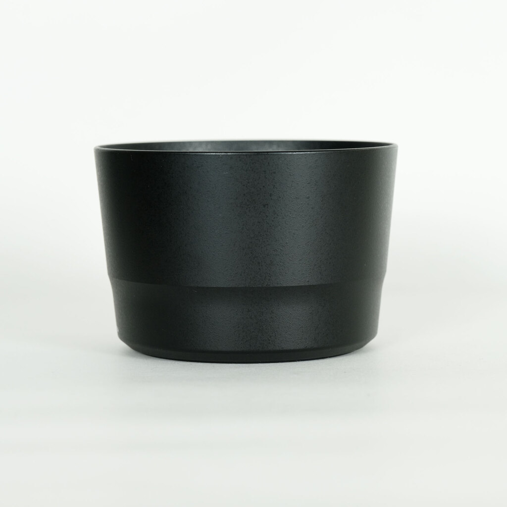 Canon EF-S55-250mm F4-5.6 IS STM