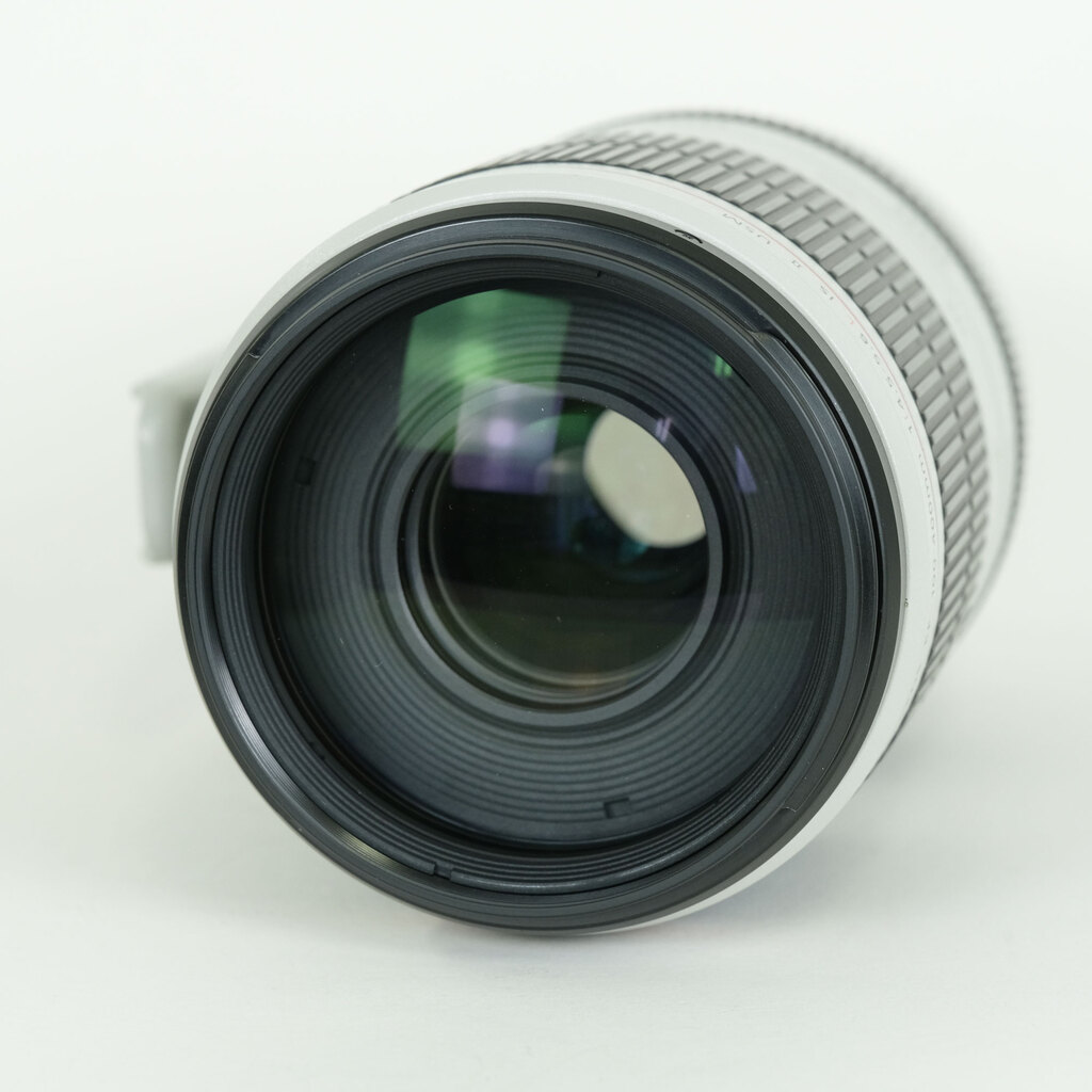 Canon EF100-400mm F4.5-5.6L IS II USM