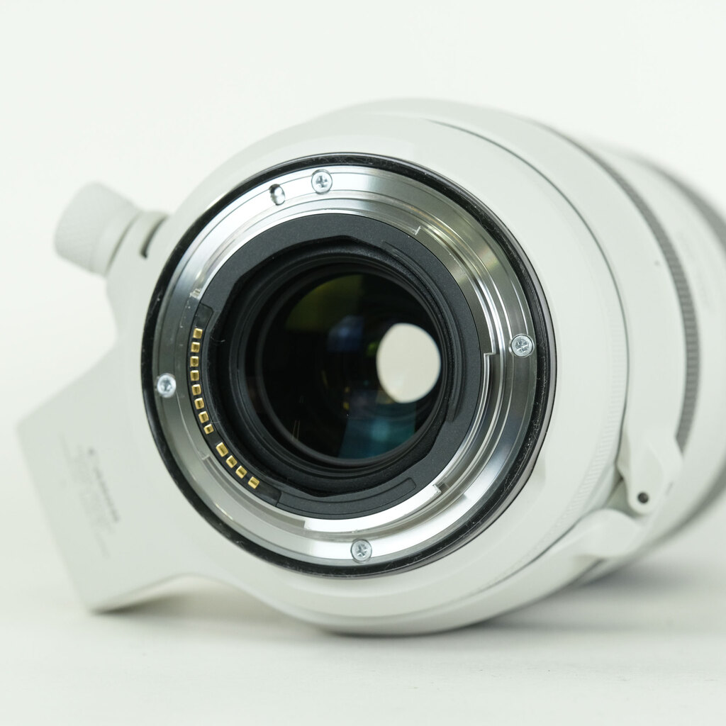 Canon RF100-500mm F4.5-7.1L IS USM