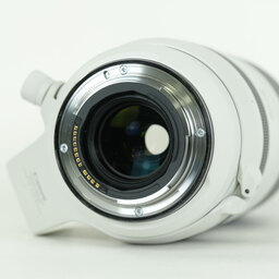 Canon RF100-500mm F4.5-7.1L IS USM