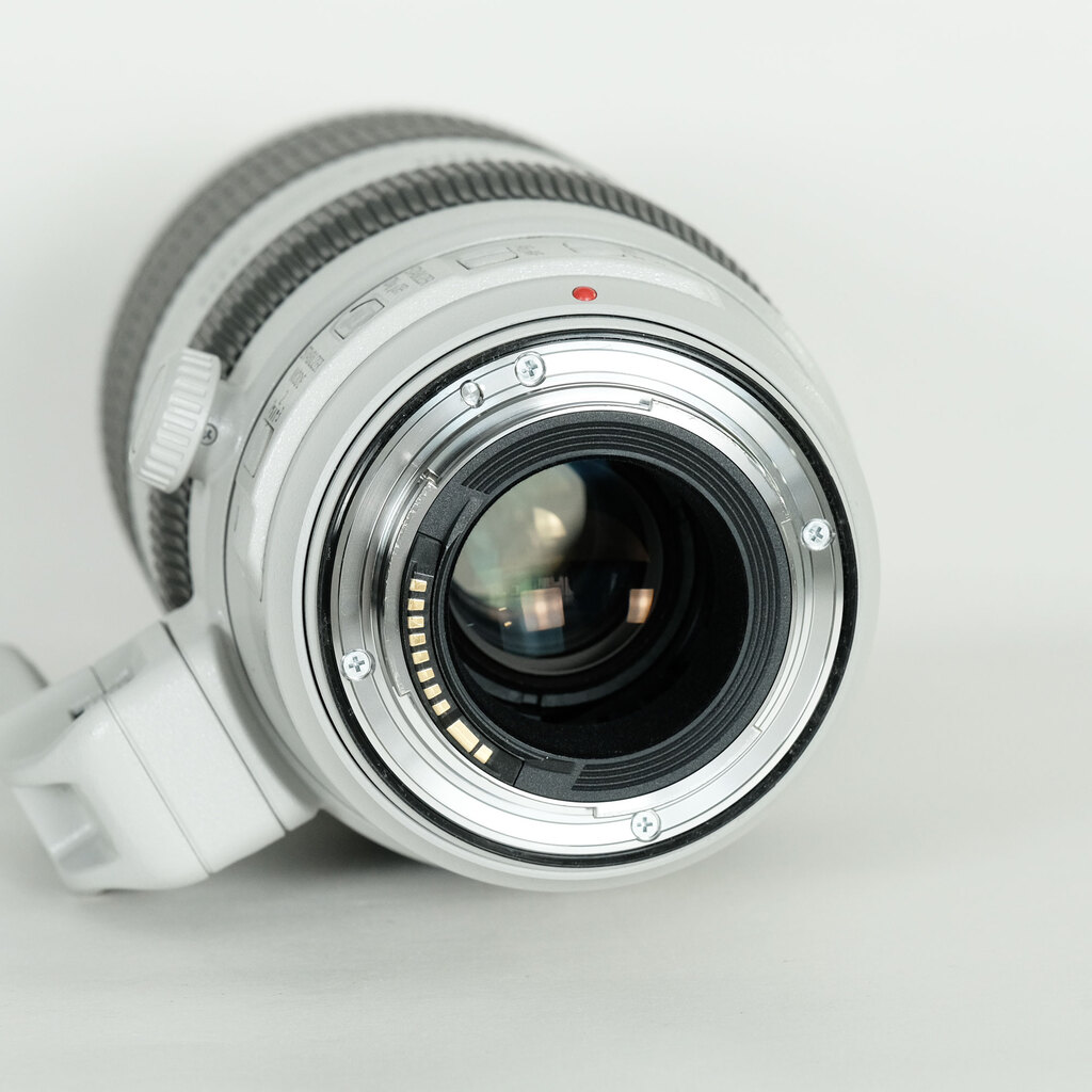 Canon EF100-400mm F4.5-5.6L IS II USM