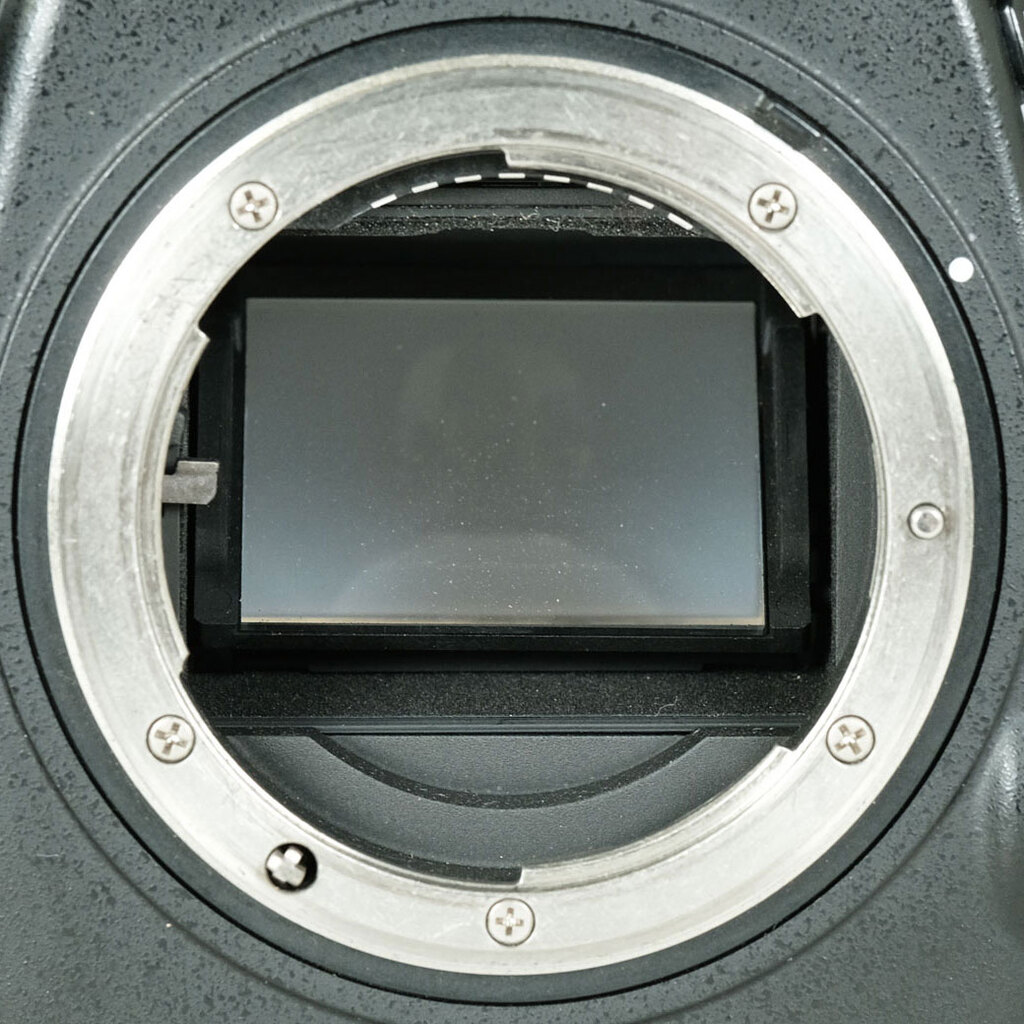 Nikon D800