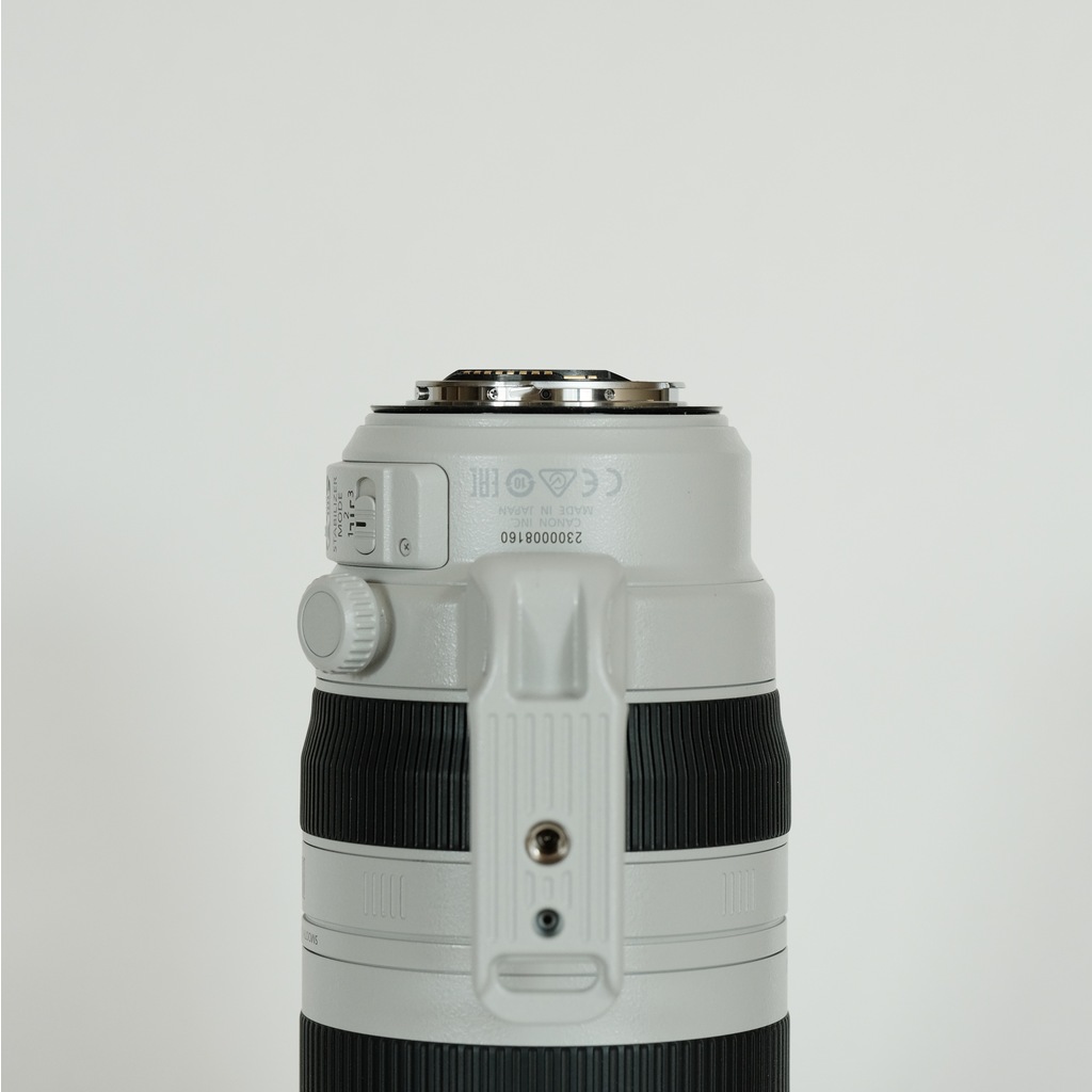 Canon EF100-400mm F4.5-5.6L IS II USM