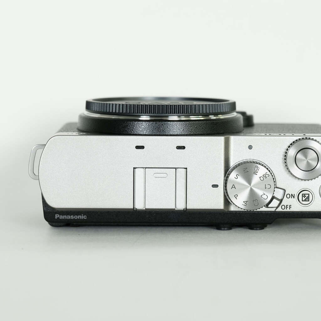 Panasonic LUMIX DC-S9