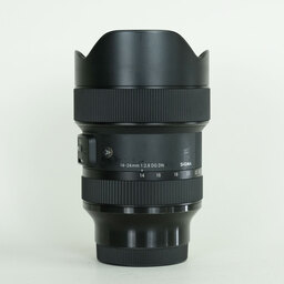 SIGMA 14-24mm F2.8 DG DN｜Art [ソニーE用]