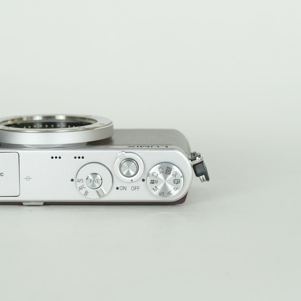 Panasonic LUMIX DMC-GM1S ブラウン