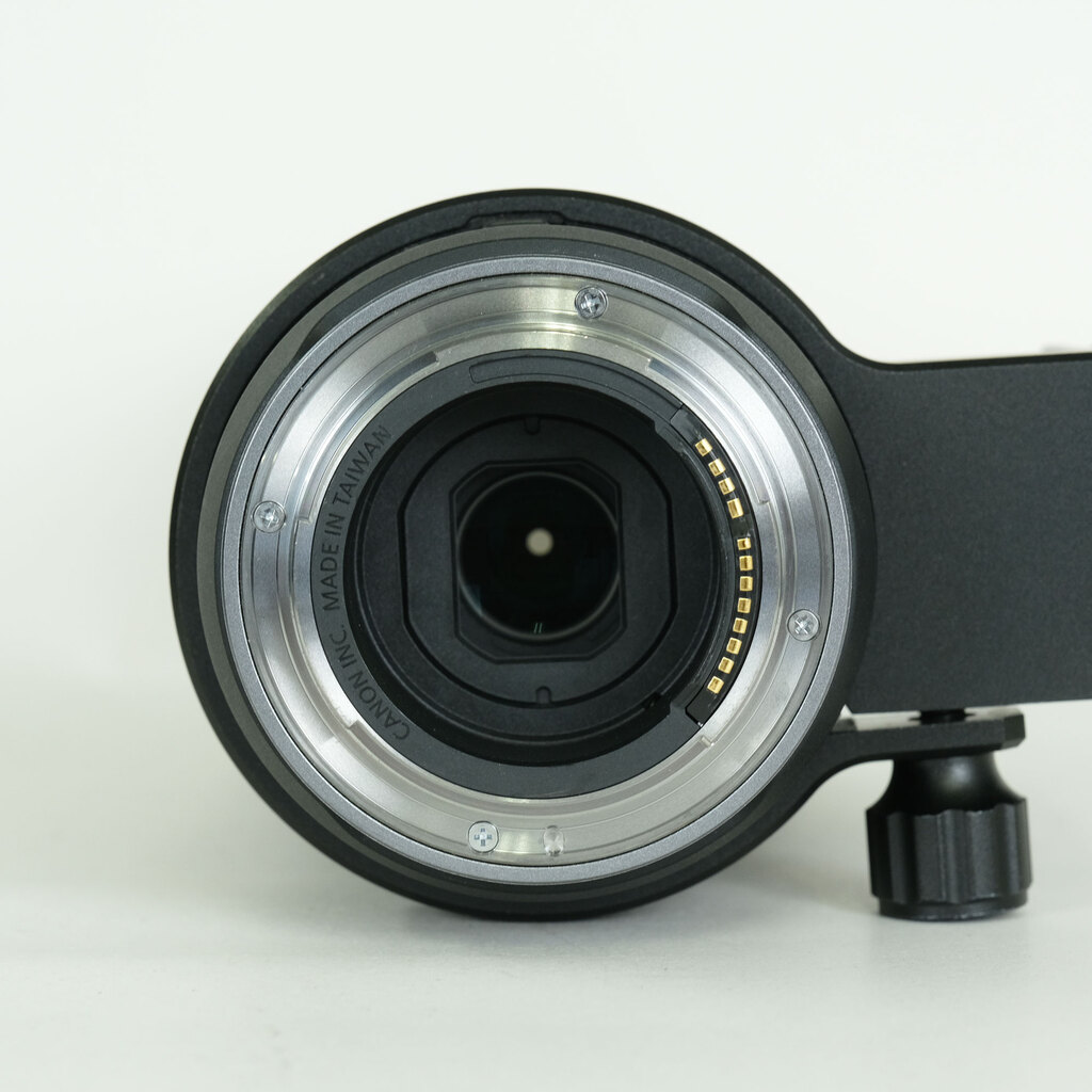 Canon RF100-400mm F5.6-8 IS USM